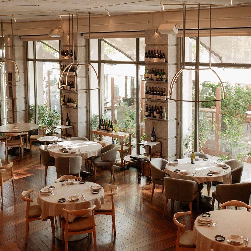 Best Wine Bars in Salamanca, Madrid (2026) | Coravin Guide