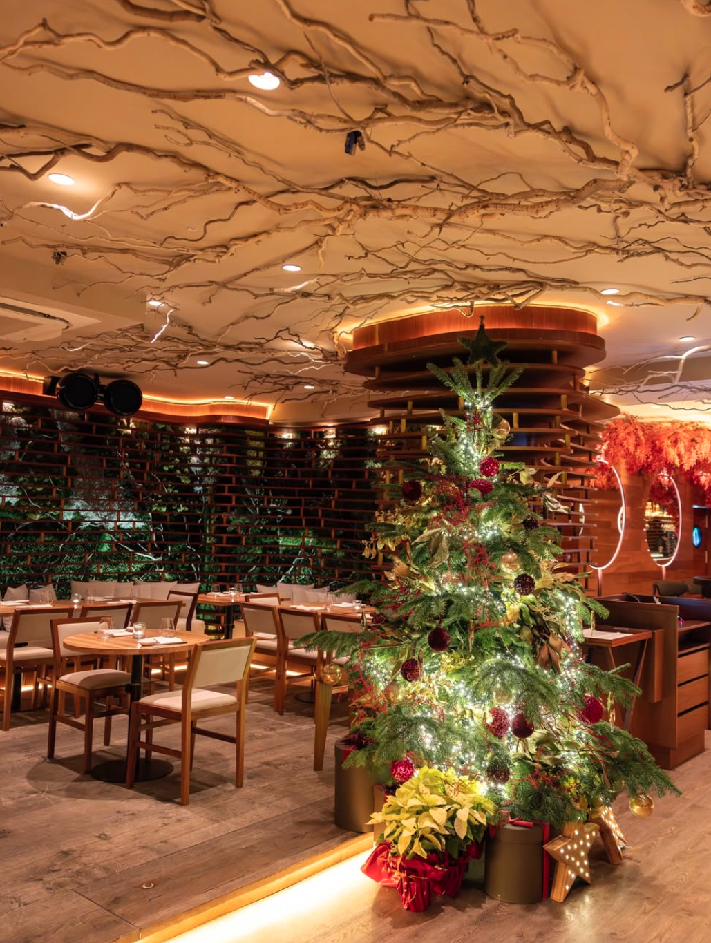 Nobu Marbella