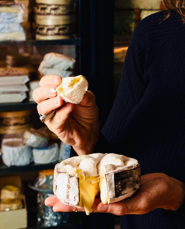 Viblioteca Cheese & Wine Bar
