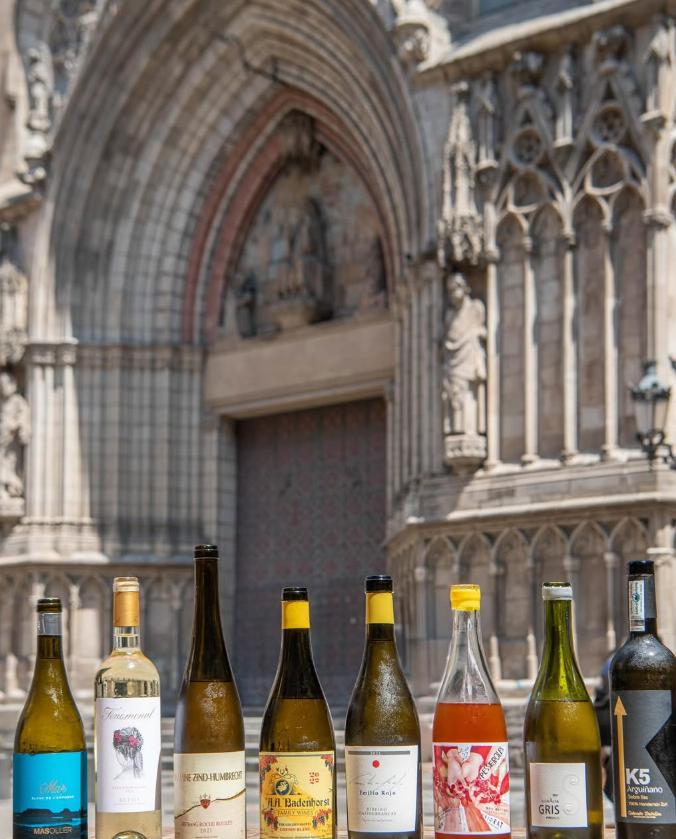 La Vinya del Señor