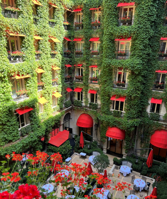 La Cour Jardin