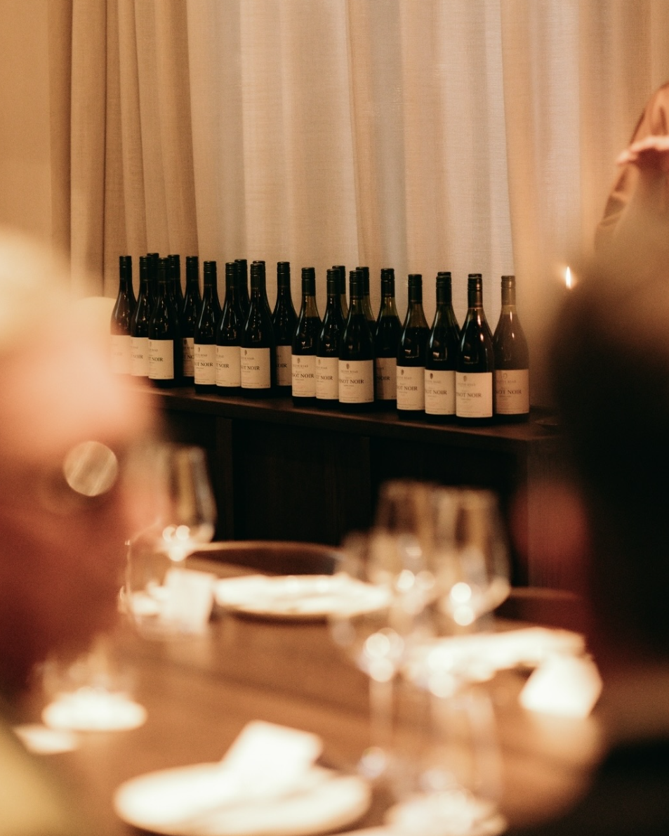 The Wine Room by David Nash