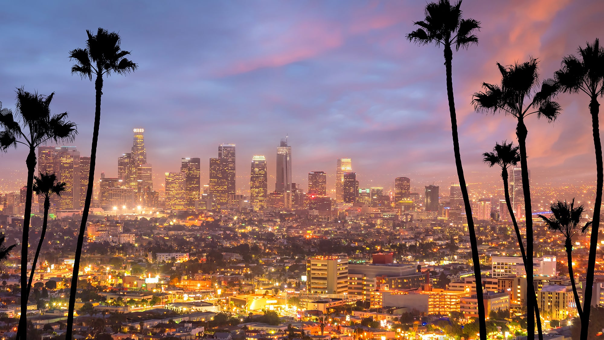 Los Angeles city